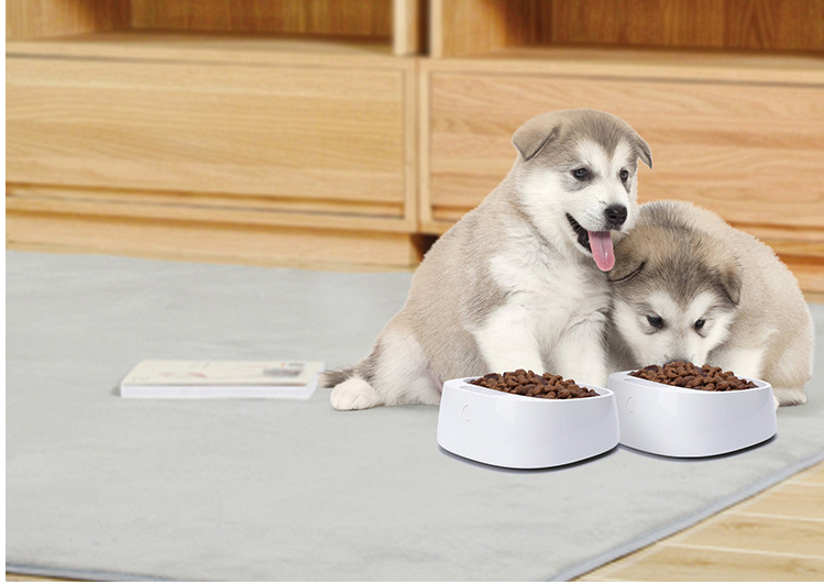 Pet weighing dog food bowl