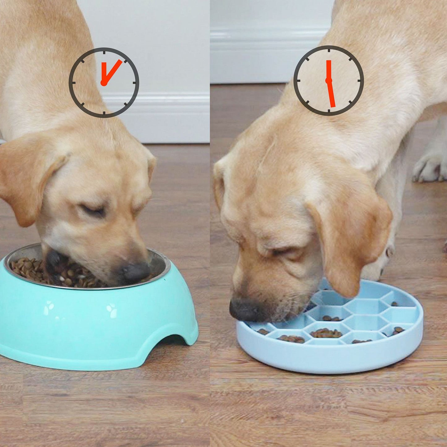 Honeycomb Pet Slow Food Bowl